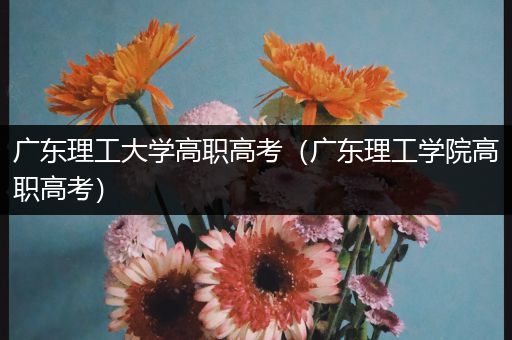 广东理工大学高职高考（广东理工学院高职高考）