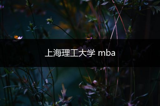 上海理工大学 mba