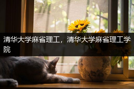 清华大学麻省理工，清华大学麻省理工学院