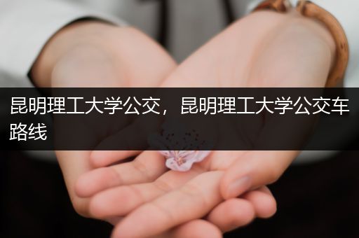 昆明理工大学公交，昆明理工大学公交车路线