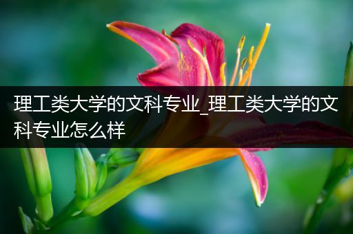 理工类大学的文科专业_理工类大学的文科专业怎么样