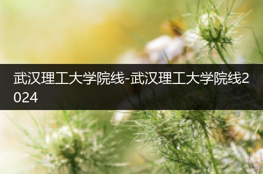 武汉理工大学院线-武汉理工大学院线2024
