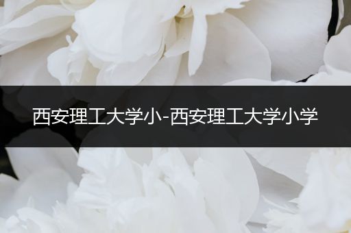 西安理工大学小-西安理工大学小学
