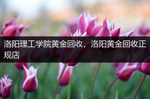 洛阳理工学院黄金回收，洛阳黄金回收正规店