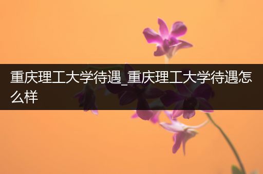 重庆理工大学待遇_重庆理工大学待遇怎么样