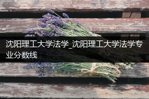 沈阳理工大学法学_沈阳理工大学法学专业分数线