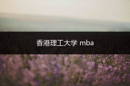 香港理工大学 mba
