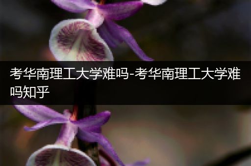考华南理工大学难吗-考华南理工大学难吗知乎