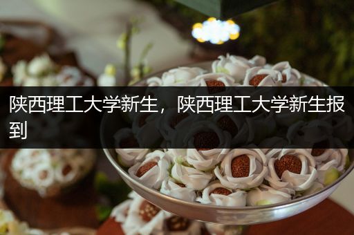 陕西理工大学新生，陕西理工大学新生报到