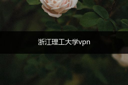 浙江理工大学vpn