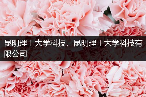 昆明理工大学科技，昆明理工大学科技有限公司