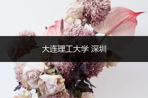 大连理工大学 深圳