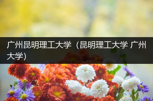 广州昆明理工大学（昆明理工大学 广州大学）