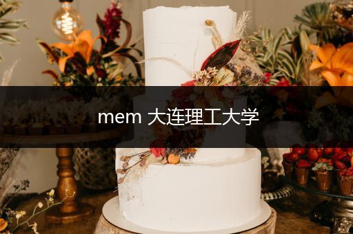 mem 大连理工大学