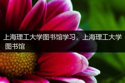 上海理工大学图书馆学习，上海理工大学 图书馆