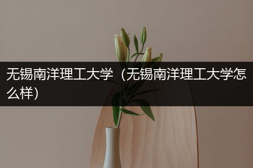 无锡南洋理工大学（无锡南洋理工大学怎么样）
