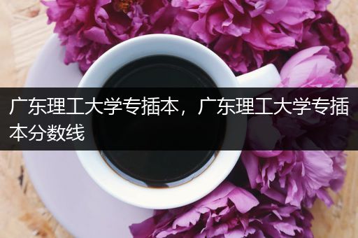 广东理工大学专插本，广东理工大学专插本分数线