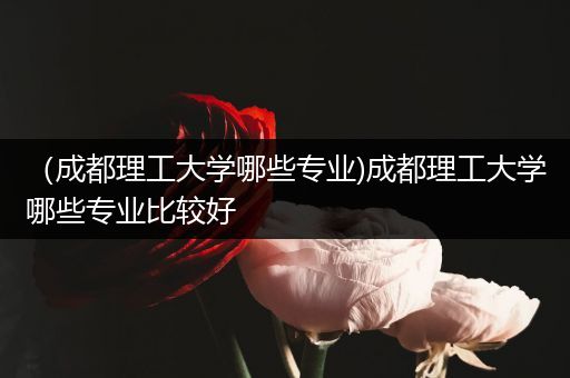 （成都理工大学哪些专业)成都理工大学哪些专业比较好