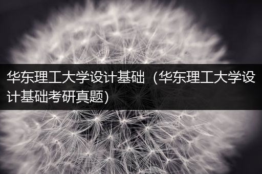 华东理工大学设计基础（华东理工大学设计基础考研真题）
