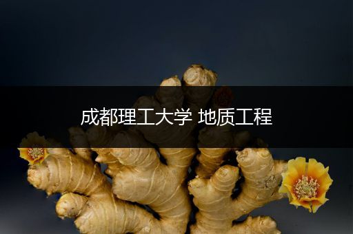 成都理工大学 地质工程