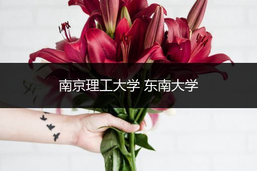 南京理工大学 东南大学
