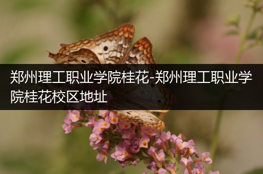 郑州理工职业学院桂花-郑州理工职业学院桂花校区地址