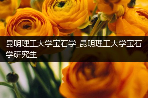 昆明理工大学宝石学_昆明理工大学宝石学研究生