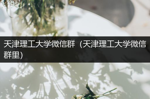 天津理工大学微信群（天津理工大学微信群里）