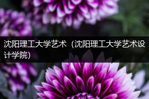 沈阳理工大学艺术（沈阳理工大学艺术设计学院）