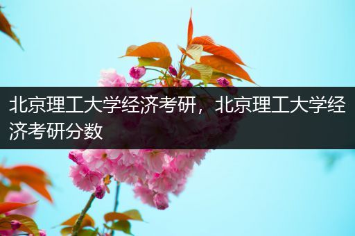 北京理工大学经济考研，北京理工大学经济考研分数