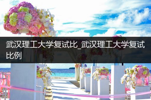 武汉理工大学复试比_武汉理工大学复试比例
