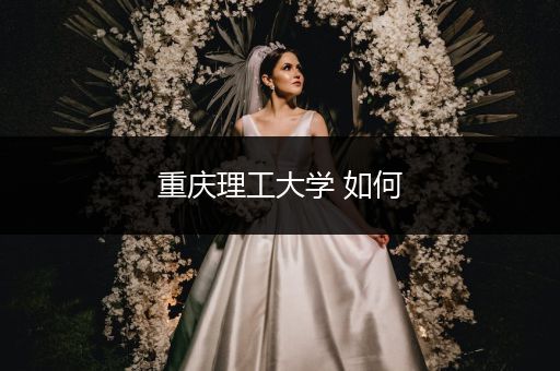 重庆理工大学 如何