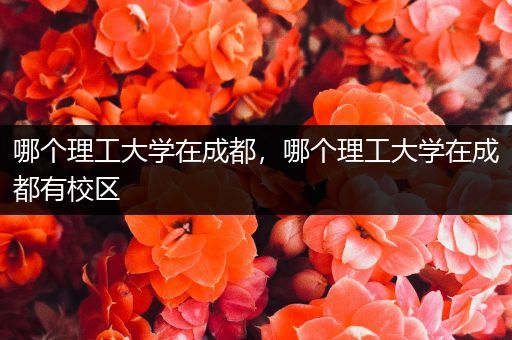 哪个理工大学在成都，哪个理工大学在成都有校区