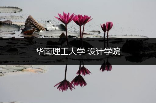 华南理工大学 设计学院