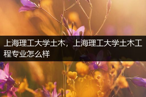 上海理工大学土木，上海理工大学土木工程专业怎么样