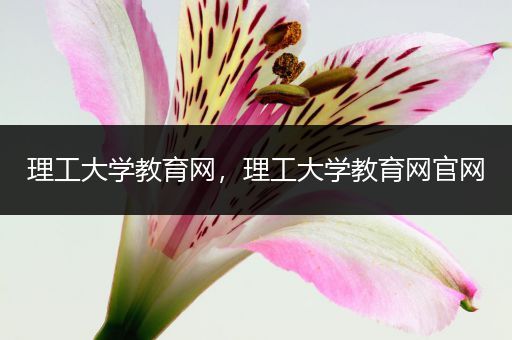 理工大学教育网，理工大学教育网官网
