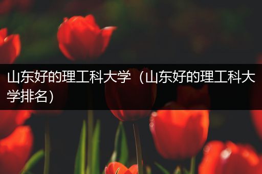 山东好的理工科大学（山东好的理工科大学排名）