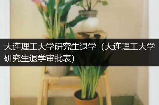 大连理工大学研究生退学（大连理工大学研究生退学审批表）
