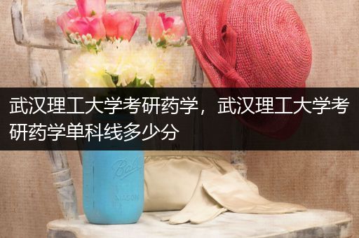 武汉理工大学考研药学，武汉理工大学考研药学单科线多少分