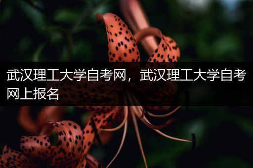 武汉理工大学自考网，武汉理工大学自考网上报名
