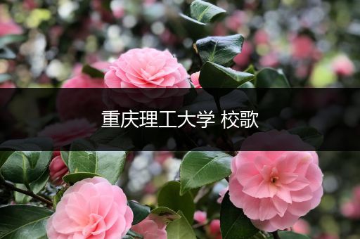 重庆理工大学 校歌