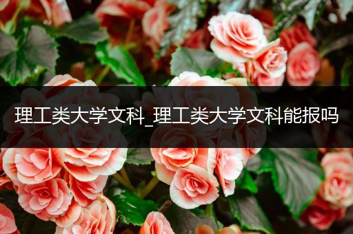 理工类大学文科_理工类大学文科能报吗