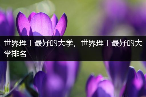 世界理工最好的大学，世界理工最好的大学排名
