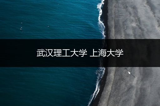 武汉理工大学 上海大学