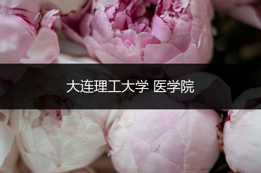 大连理工大学 医学院