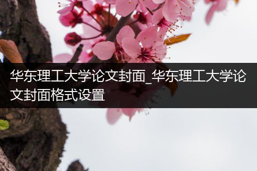 华东理工大学论文封面_华东理工大学论文封面格式设置
