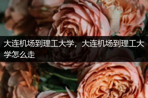 大连机场到理工大学，大连机场到理工大学怎么走