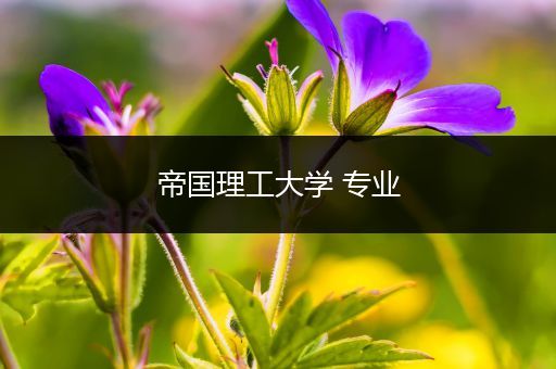 帝国理工大学 专业