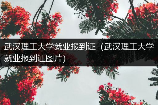 武汉理工大学就业报到证（武汉理工大学就业报到证图片）