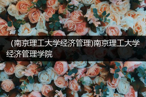 （南京理工大学经济管理)南京理工大学经济管理学院